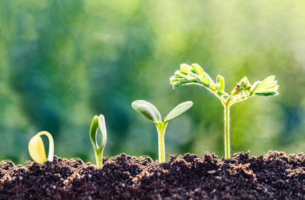 Join us for the last RC Sampler on November 12th at 3 p.m., which is centered on the concept of RICH Relationships strengthening attachment. The last of this series of blog posts is about the 