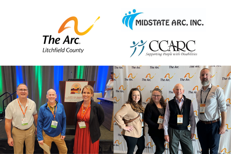 Pictures and logos featuring Arc CT panelists from two IDD conferences